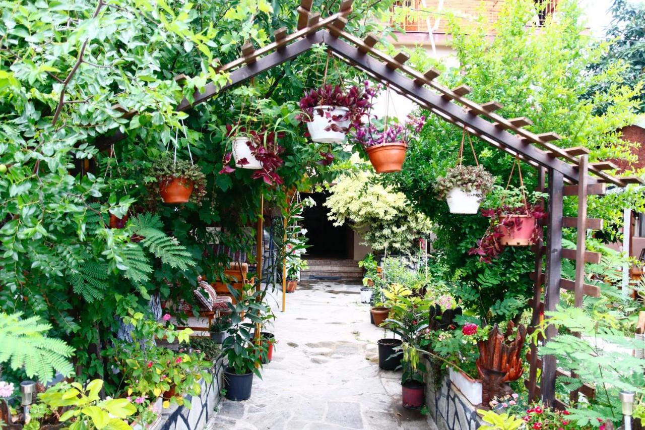 Rosemary Pansiyon Cirali Exterior photo